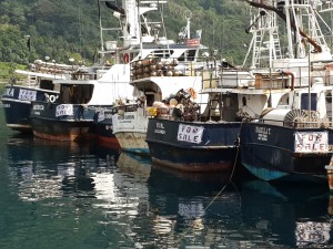 Row of American Samoa longliners offered for sale in January 2014 reflects the fishery's lack of profitability.